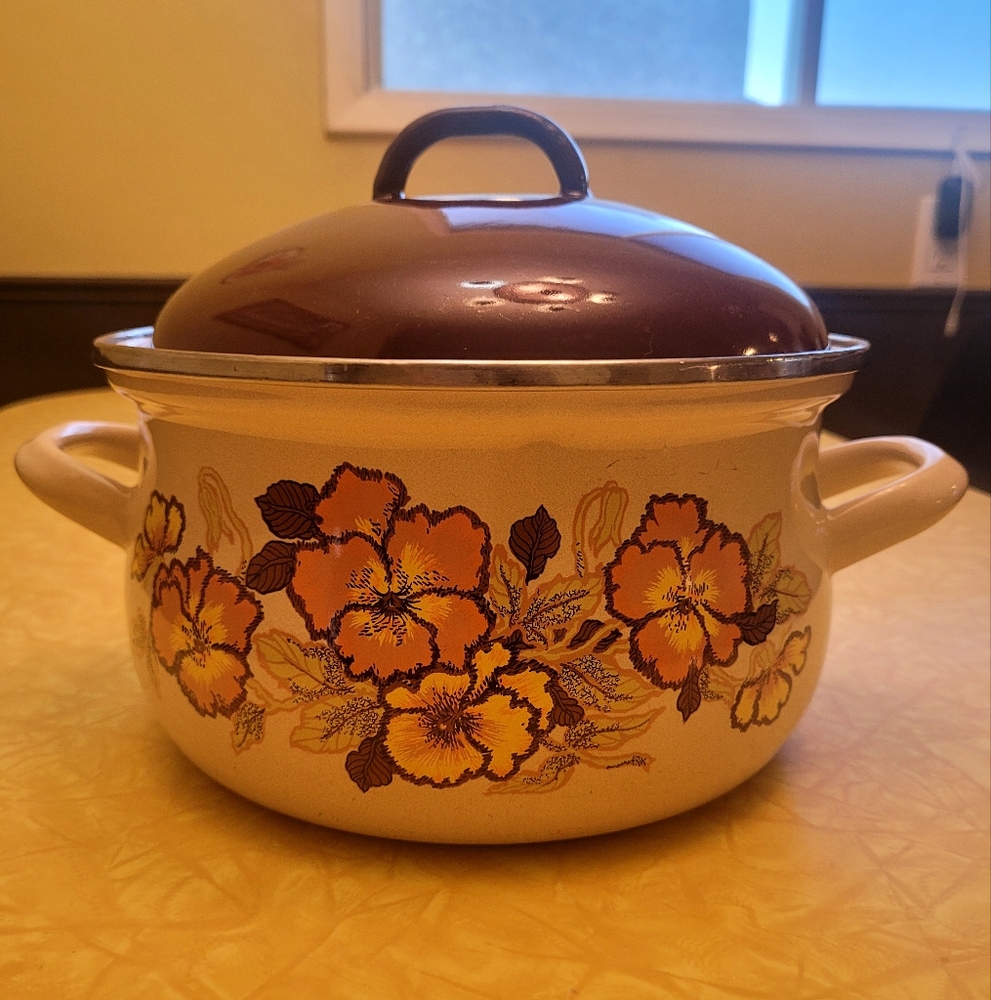 Enamel Stock Pot